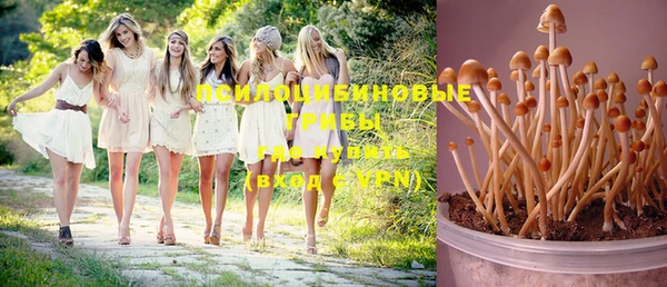 амф Абинск