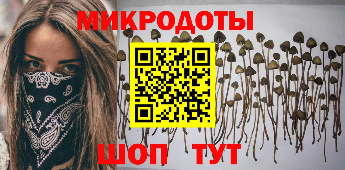 наркота  Псилоцибиновые грибы Psilocybe  Новочебоксарск  Вход с VPN  Псилоцибиновые грибы прущие грибы 